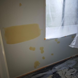 APro Canberra Painting Pty Ltd - Belconnen, ACT