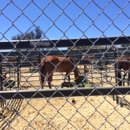 San Diego Animal Shelter - Animal Shelters