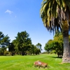 Rancho Maria Golf Club gallery