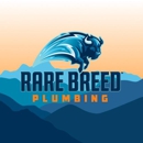 Rare Breed Plumbing (fka Lundberg Plumbing) - Fireplaces