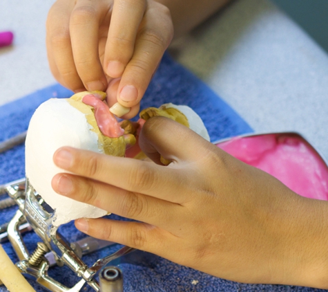 Total Denture Care Clinic - New Town, TAS