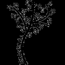 PeaceTree Counseling and Consulting - Psychologists