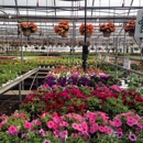 Musselman Greenhouses - Greenhouse Builders & Equipment