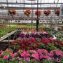 Musselman Greenhouses