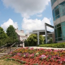 Winston J Scott MD - Physicians & Surgeons, Ophthalmology