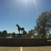 Kentucky Horse Park gallery