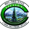 Little C Tree Service & Snow Removal Inc gallery