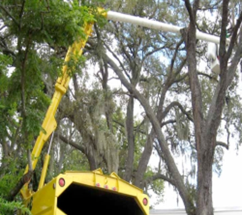 Pete and Ron's Tree Service Inc - Tampa, FL
