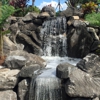 Koi Smart Pond Supply gallery