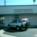 Orange Blossom Chinese Restaurant - Chinese Restaurants