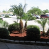 Step by Step Landscape Management Inc gallery
