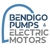 Bendigo Pumps & Electric Motors Logo