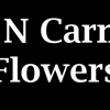 What N Carnation Flowers gallery