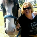 Scott Weidner's Farrier Service