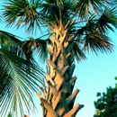 Emerald Green of Bradenton - Farming Service
