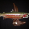 Rivers Edge Wildlife Art gallery