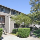 Briarwood Apartments - Apartment Finder & Rental Service