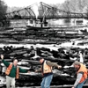 Renaldo Land Surveying gallery