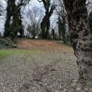 MACD Land Clearing - Grading Contractors