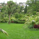 G&K Lawn Maintenance - Sod & Sodding Service