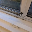 Fast Mold Testing - Jacksonville
