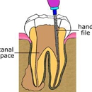 Fuller, Noel P, DDS