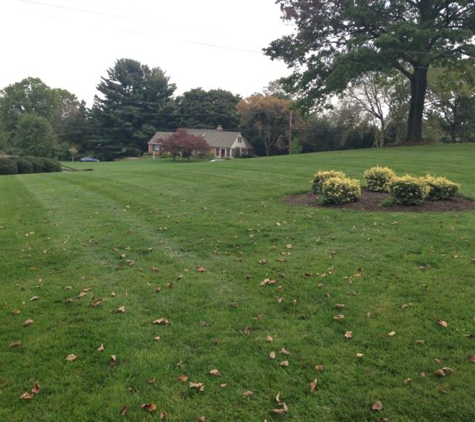 Easy Care Landscaping - Philadelphia, PA