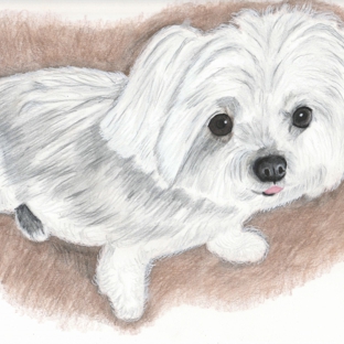 Pet Portraits by Rebecca - Hudson, FL