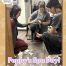 Associated Veterinary Medical Center - Veterinarians