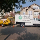 Forest Tree Services Forest Tree Services