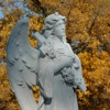 Calvary Cemetery gallery