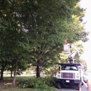 Marshall's Tree Service LLC - Arborists