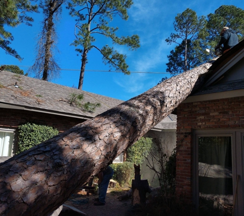 Broken Branch Tree Service - Salem, AL