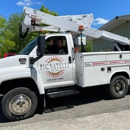 Pignatelli Electrical Contractors - Electricians