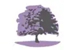 Brook Medical Centre - Doctors - Medical Practitioners