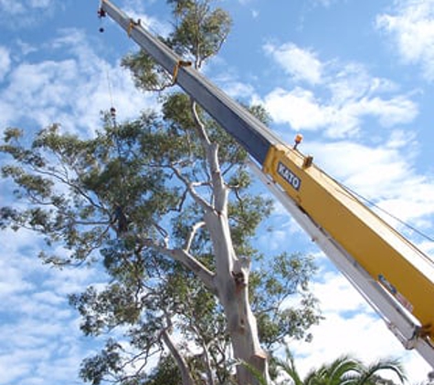 Ashley's Tree Service - Oklahoma City, OK