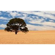 Gallery Image Number 2