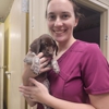 Athens Animal Clinic gallery