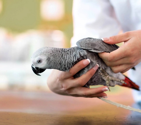 Wakeley Veterinary Hospital - Prairiewood, NSW