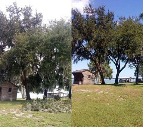 Kats Tree Service - Edgewater, FL