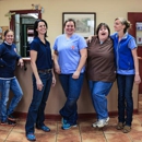 Lee Veterinary Clinic - Veterinarians