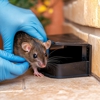 Bristol Pest Control gallery