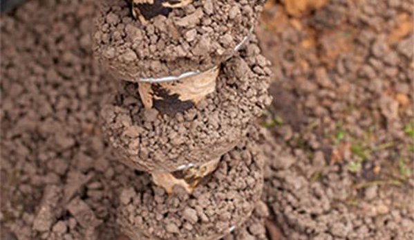 Soil Test Express - Koo Wee Rup, VIC