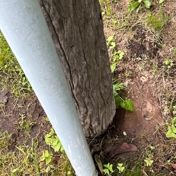 Gallery Image Number 7