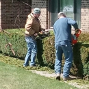 Powell Lawn Care - Lawn Maintenance