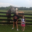 Hill Winds Farm - Horse Boarding