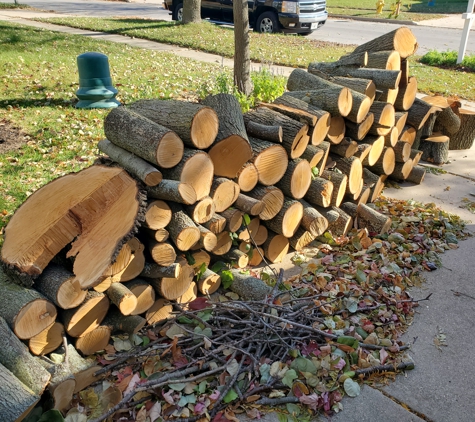 Embark Tree Removal - Bloomington, IL