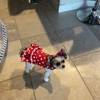 Eastside Animal Clinic gallery