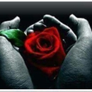 Humphrey Floral And Gift - Florists