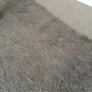 Elite Carpet Cleaning - Carpet & Rug Cleaners